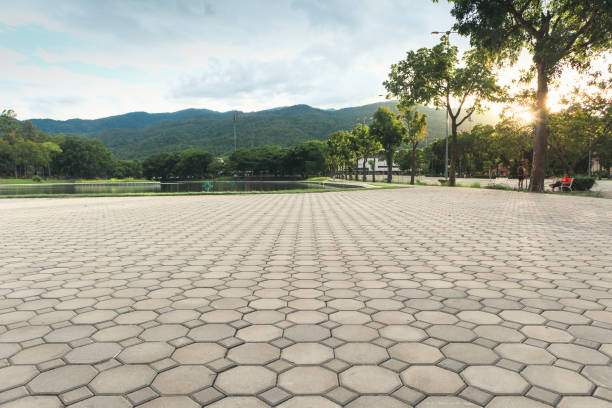Best Professional Driveway Pavers  in East Bernard, TX